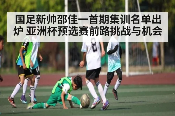 国足新帅邵佳一首期集训名单出炉 亚洲杯预选赛前路挑战与机会